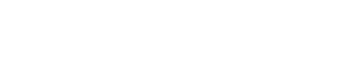 Sexual Wellbeing Aotearoa logo